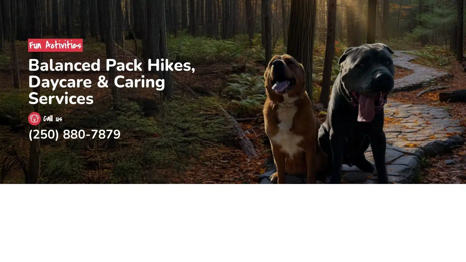 Puppy Tales Adventures website and brand identity hero