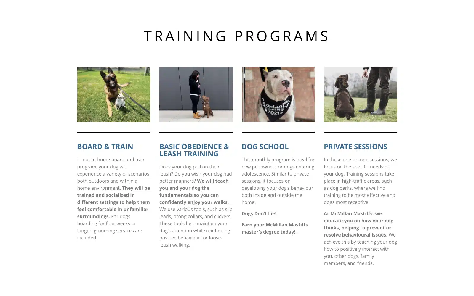 McMillan Mastiffs programs layout preview