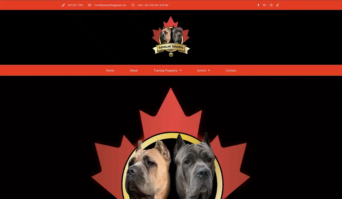 McMillan Mastiffs preview