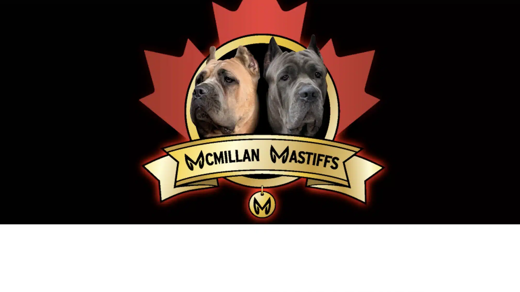 McMillan Mastiffs website and training programs hero