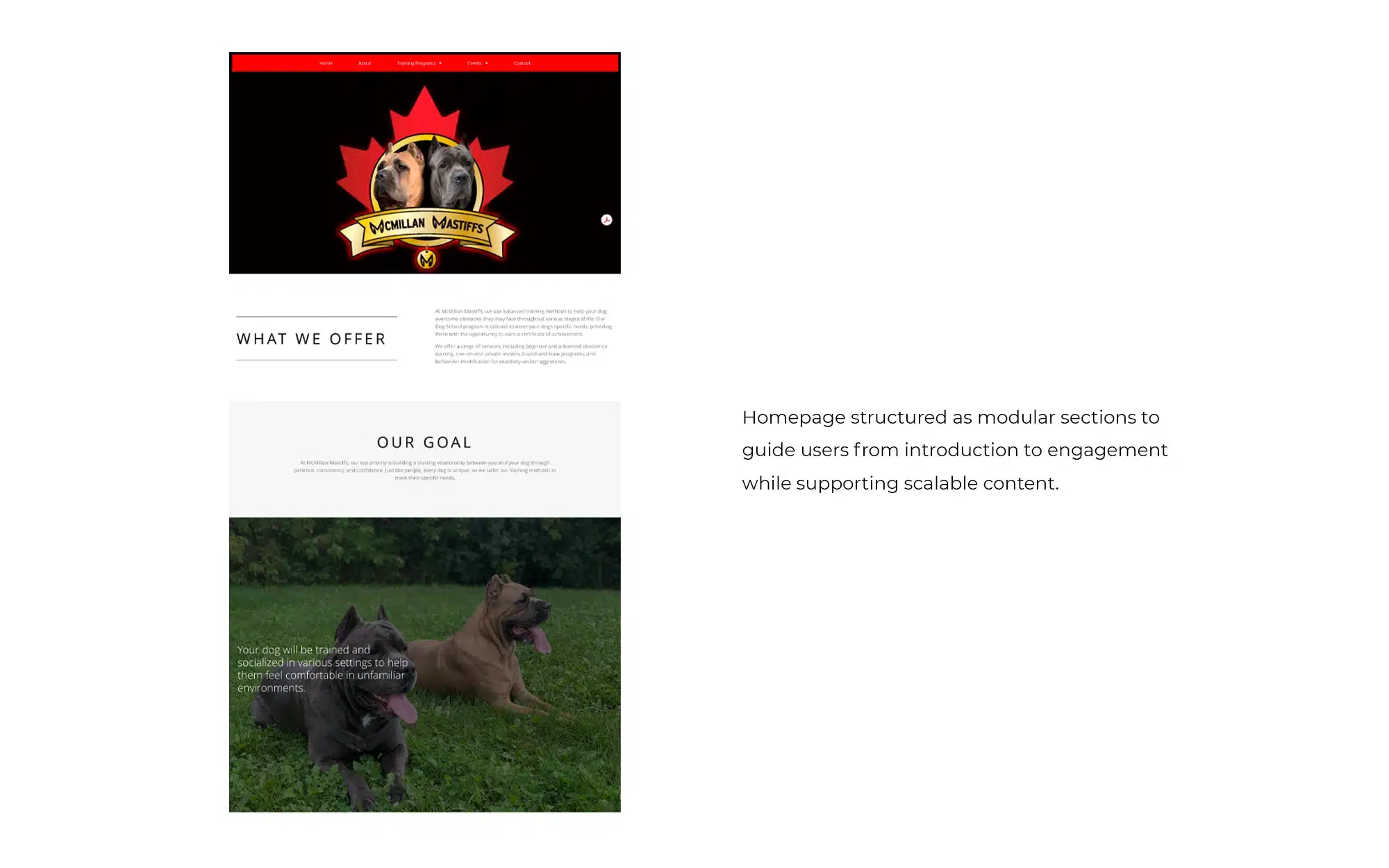 McMillan Mastiffs homepage modules preview